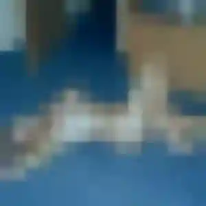 Sophie, 40 ans, cherche un plan cul à Abbeville