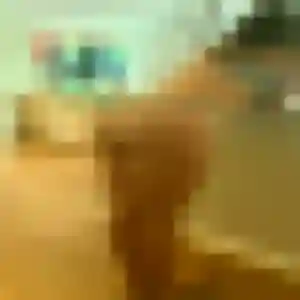 Delphine, 31 ans, connectée à Albert pour un plan cul