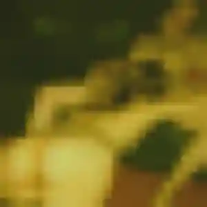 Photo de Anais à Alsting (40 ans) - plan cul anonyme