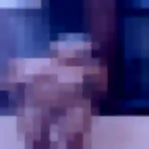 Sexy Priscilla, 22 ans à Ambillou - découvrir son profil
