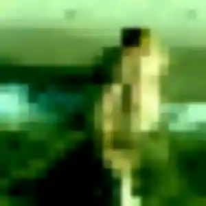 Photo exclusive de Noura, 24 ans à Ambrières-les-Vallées - rencontre sans lendemain