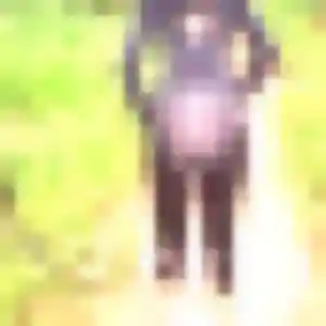 Profil de Irene à Amilly (35 ans) - plan cul anonyme