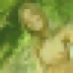 Photo exclusive de Vinciane, 36 ans à Andouillé - rencontre coquine