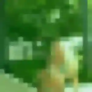 Giulia, 34 ans, disponible à Annecy pour une rencontre coquine
