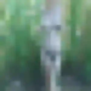 Zoe, femme de 45 ans veut plan cul à Anould