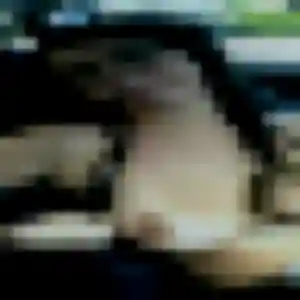 Marie (36 ans) à Antibes cherche un plan cul ce soir
