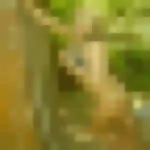 Josephine, fille de 34 ans cherche plan cul à Appenwihr