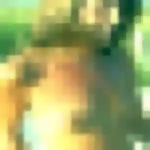 Photo de Elvire à Ardin (32 ans) - plan cul discret