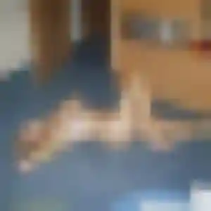 Photo perso de Clarisse, 23 ans à Aron - plan discret