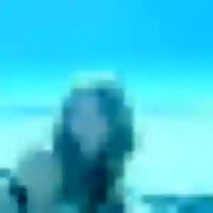 Profil de Violette à Arrest (34 ans) - plan cul gratuit