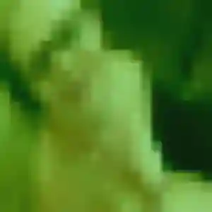 Photo de Ghislaine à Assieu (32 ans) - plan cul gratuit