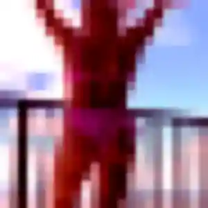 Photo de Renee à Aubignan (39 ans) - plan cul anonyme