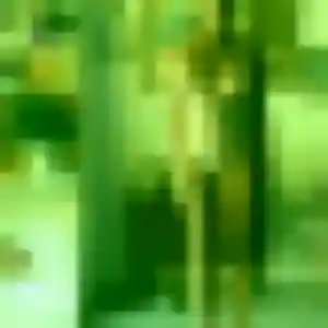 Contacte Amandine, 33 ans à Aubry-du-Hainaut en privé