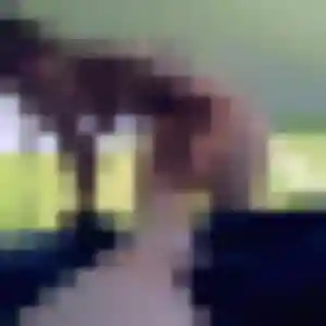 Profil de Elise à Auchy-lez-Orchies (32 ans) - plan cul gratuit