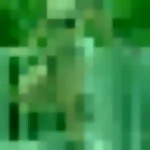 Photo sexy de Cyrielle, 39 ans à Aureil - rencontre sans lendemain