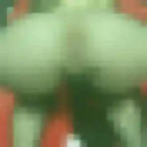Sarah, femme de 44 ans propose plan cul à Aurillac