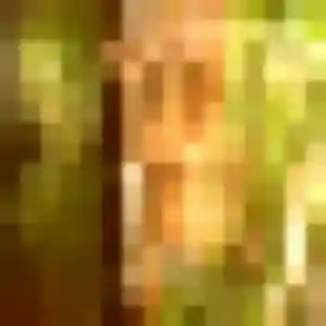 Sexy Helene, 28 ans à Auzeville-Tolosane - la contacter