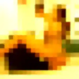 Photo de Hajar à Avanton (37 ans) - plan cul anonyme