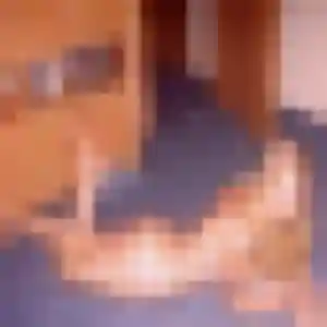 Photo de Perrine à Avelin (35 ans) - plan cul anonyme