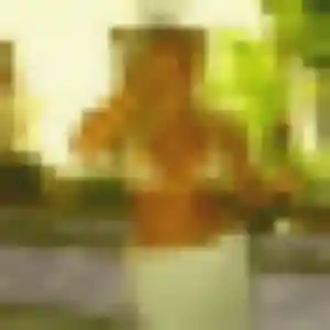 Photo de Hajar à Avignonet-Lauragais (36 ans) - plan cul gratuit