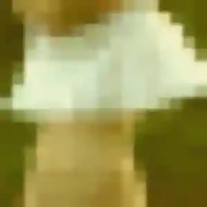 Leila (44 ans) à Avremesnil propose une rencontre ce soir