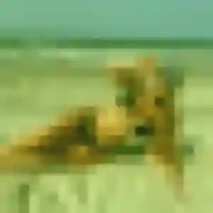 Joanne, femme de 22 ans cherche plan cul à Aytré