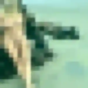 Photo de Dana à Azay-sur-Cher (38 ans) - plan cul anonyme