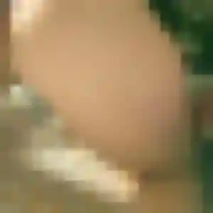 Anne-Sophie, 23 ans, cherche un plan cul à Baden