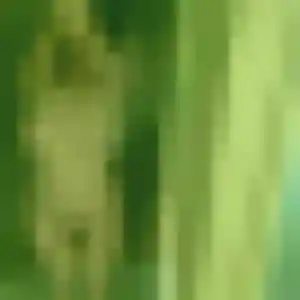 Photo exclusive de Maeva, 45 ans à Bagnoles de l'Orne Normandie - rencontre sans lendemain