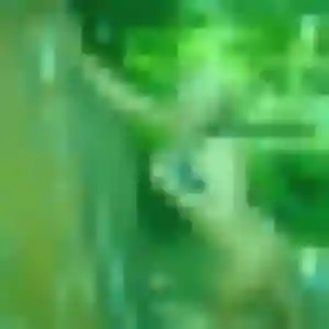 Leana, femme de 30 ans veut plan cul à Bailleul-le-Soc