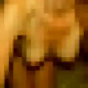 Nolwenn (42 ans) à Bailleul-Sir-Berthoult cherche un plan cul ce soir