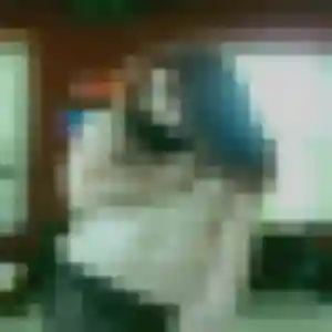 Contacte Delphine, 29 ans à Bambecque gratuitement