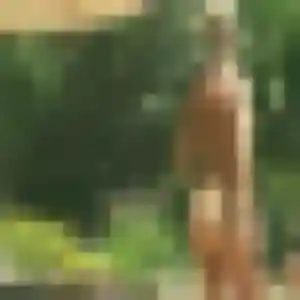Lilou, femme de 39 ans propose plan cul à Ban-sur-Meurthe-Clefcy