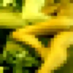 Rejoins Delia, 32 ans à Bartenheim gratuitement