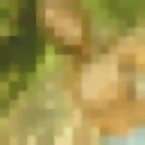 Charmante Fiona, 24 ans à Bazoches-sur-Guyonne - la contacter