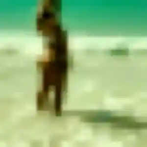 Photo exclusive de Paloma, 32 ans à Bazoches-sur-le-Betz - rencontre coquine
