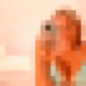Photo exclusive de Wendy, 32 ans à Beauval - rencontre sans lendemain