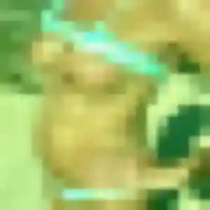 Oceane (24 ans) à Beauvoir-en-Lyons attend une rencontre aujourd'hui