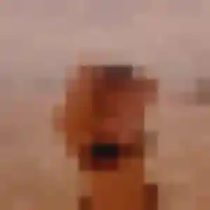 Photo de Salome à Bécherel (23 ans) - plan cul gratuit