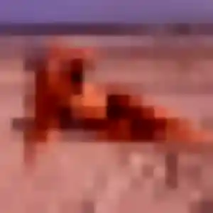 Natacha, 42 ans, cherche un plan cul à Belleau