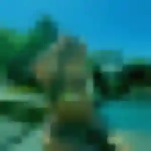 Amira, 32 ans, en ligne à Berric pour une rencontre coquine