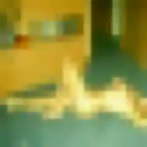 Profil de Marine à Béthisy-Saint-Pierre (38 ans) - plan cul anonyme