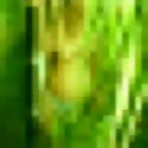 Valentine de Beuvry, 45 ans - plan cul discret
