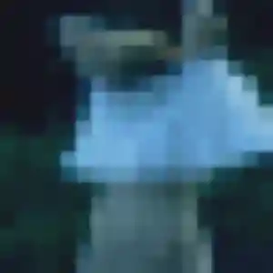 Photo de Ximena à Beuzevillette (28 ans) - plan cul anonyme