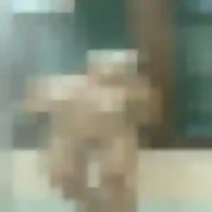 Kawtar, fille de 25 ans cherche plan cul à Biache-Saint-Vaast