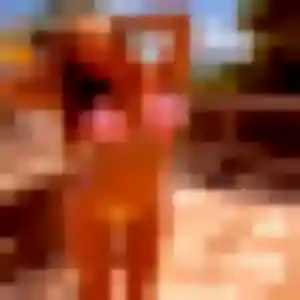 Photo exclusive de Katia, 40 ans à Bichancourt - rencontre sans lendemain