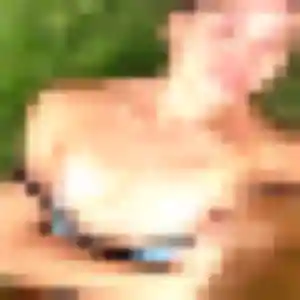Photo de Wendy à Blacqueville (35 ans) - plan cul anonyme