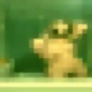 Photo exclusive de Tessa, 34 ans à Blainville-sur-Mer - rencontre sans lendemain