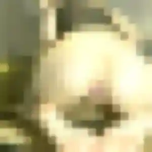 Photo perso de Verane, 26 ans à Blasimon - rencontre coquine