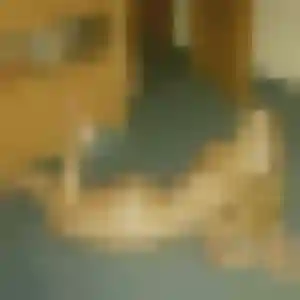 Photo sexy de Bernadette, 34 ans à Boëge - rencontre sans lendemain